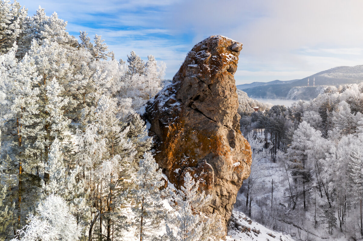 Голубка
